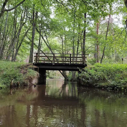 Rzeka Rurzyca